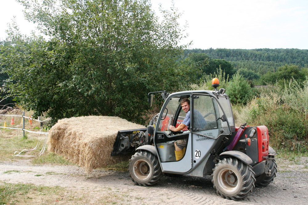 Bei der Arbeit
