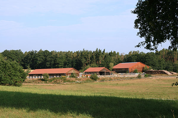 reiterhof Reiterhof und Weide