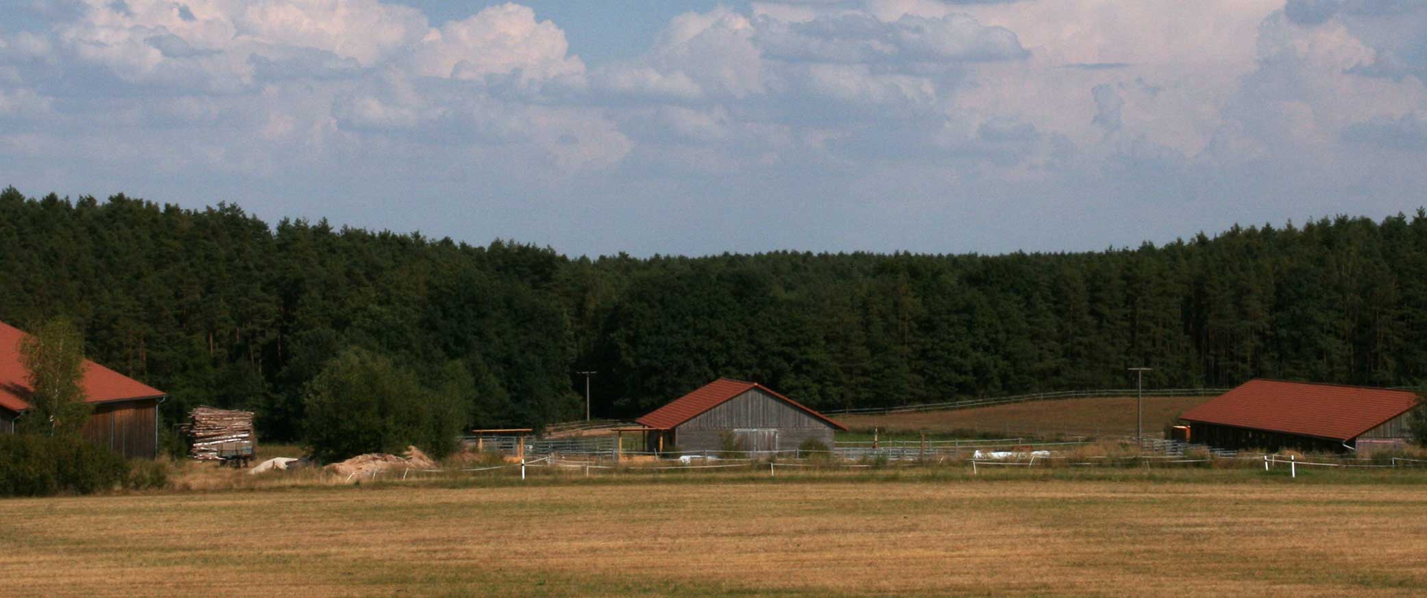 Der Reitstall Eberlein Außenansicht