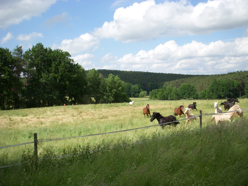 Bilder von der Eroeffnung der Weidesaison