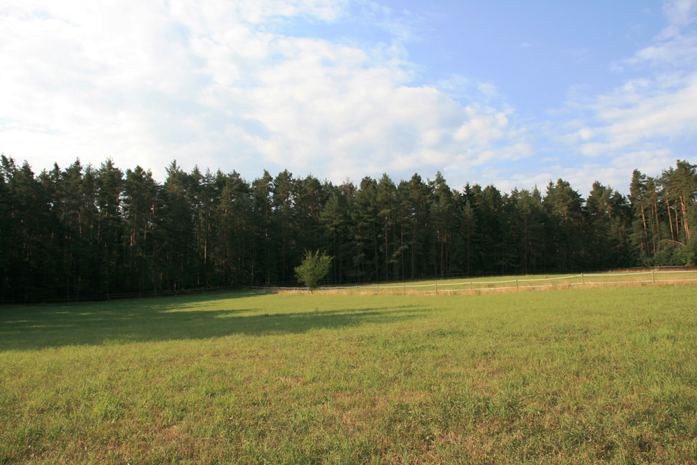 Bilder von der Eroeffnung der Weidesaison