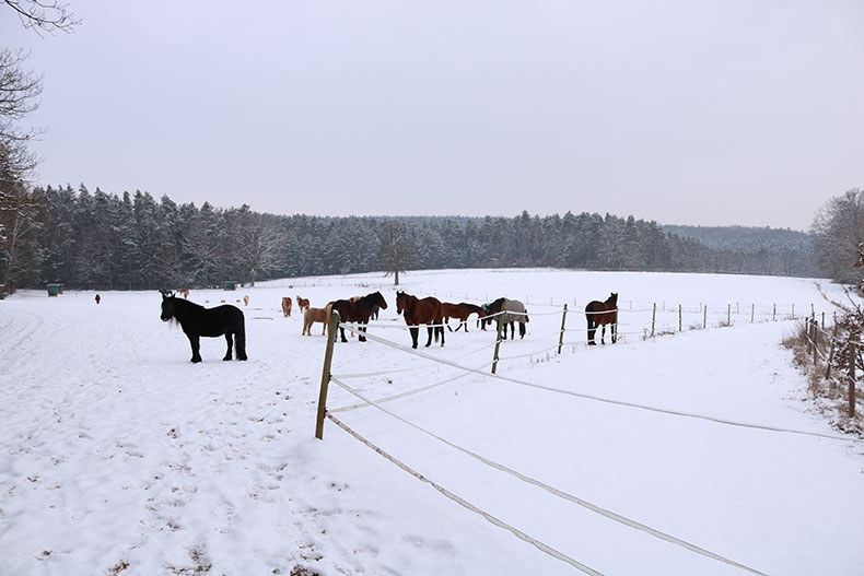 winter