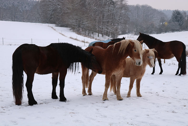 Winter