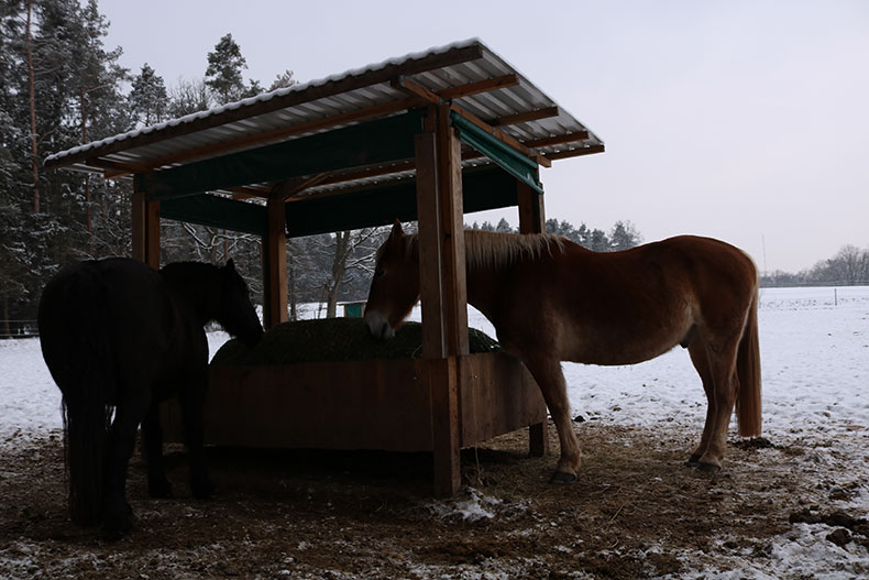 Futter im Winter