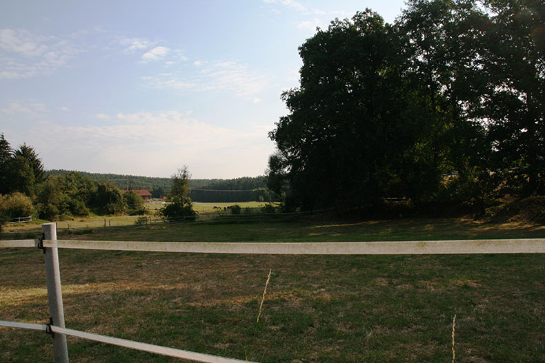 Weidezaun