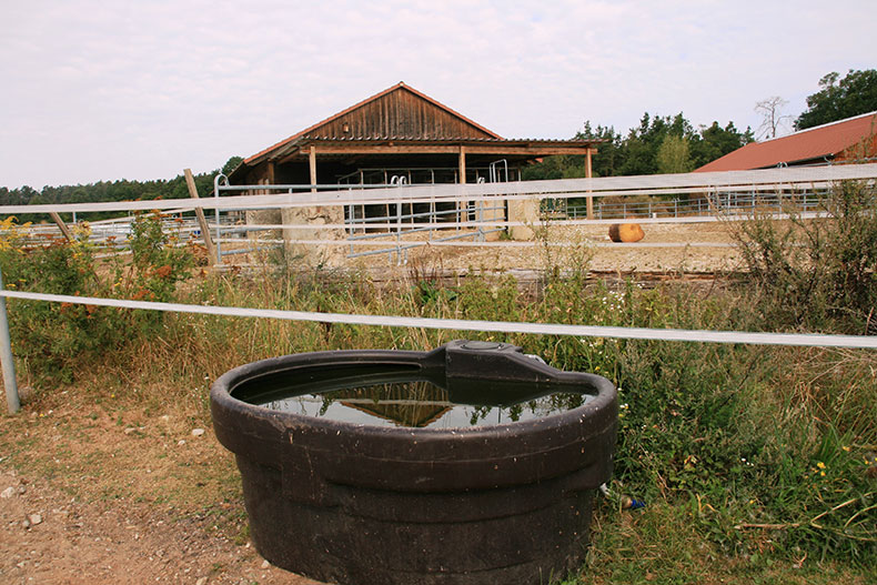 traenke